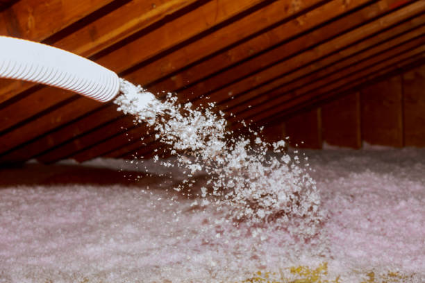Best Spray Foam Insulation in Senoia, GA