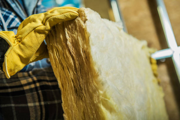 Best Cellulose Insulation in Senoia, GA