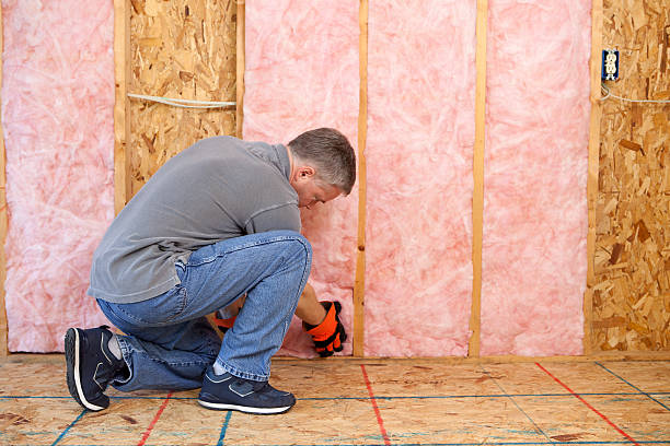 Trusted Senoia, GA Insulation Contractor Experts