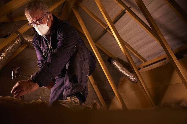 Best Insulation for Specific Applications in Senoia, GA